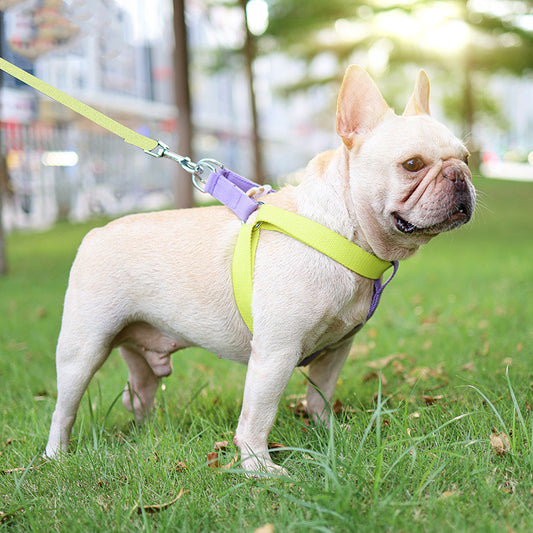 Color Pet Drawstring Leash Vest-style Dog Leash