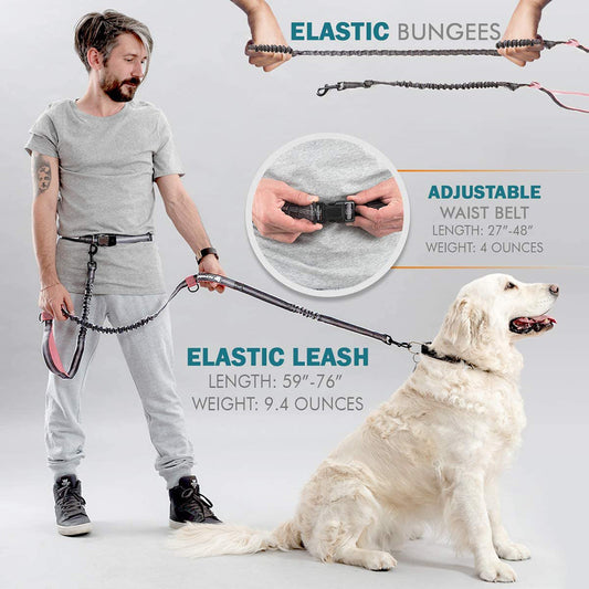 Pet Outing Hand Holding Rope Portable Running